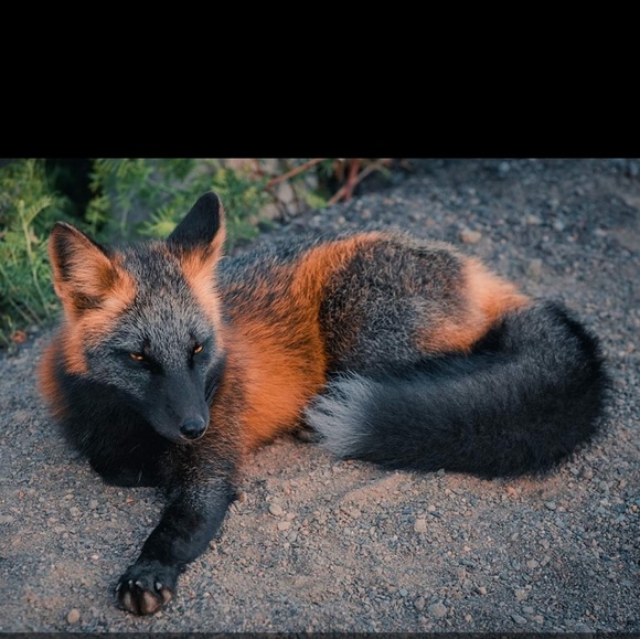 Meet your Posher, Jennifer - Picture 1 of 1